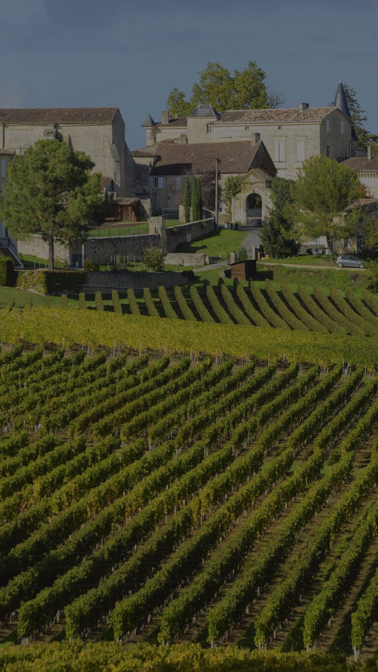 Franse wijngaarden